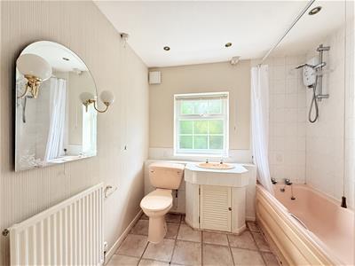 Picture 11